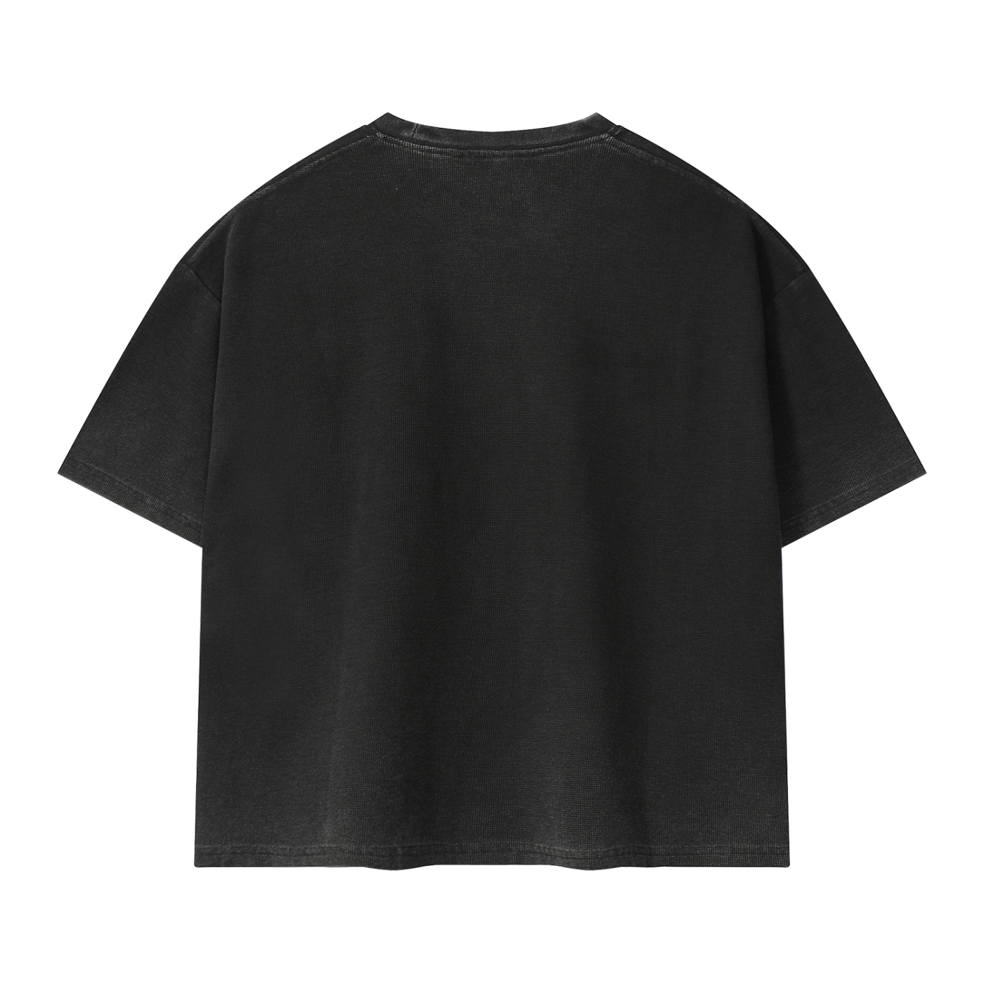 Static Reverie Moth Tee