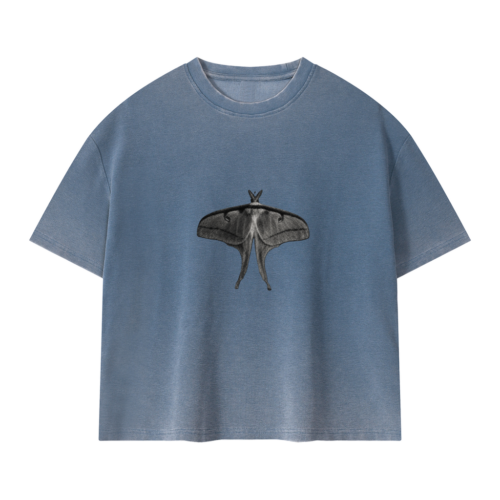 Static Reverie Moth Tee